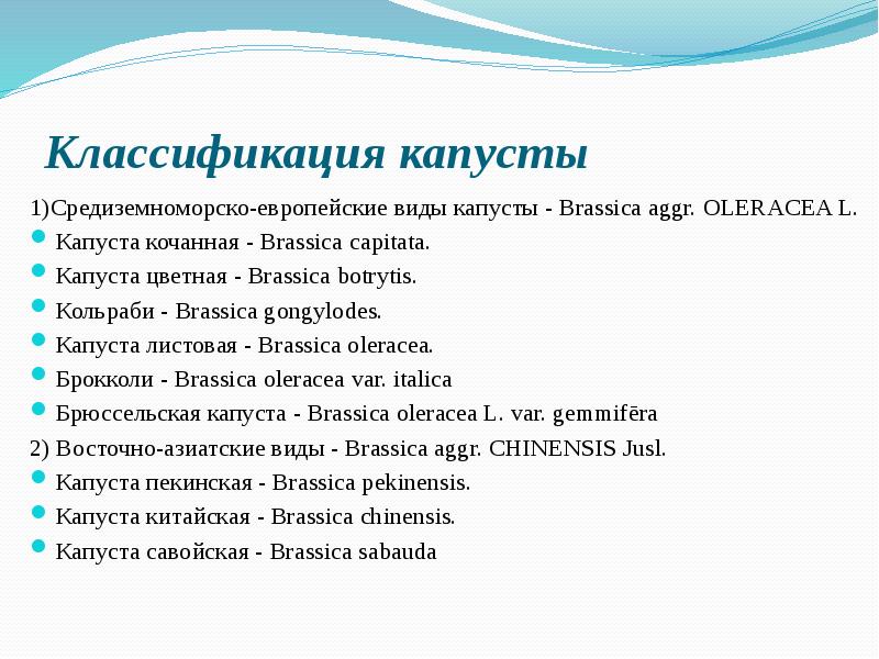 Классификация капусты 1)Средиземноморско-европейские виды капусты - Brassica aggr. OLERACEA L. Капуста