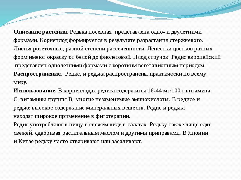 Описание растения.&nbsp;Редька посевная представлена одно- и двулетними  Описание растения.&nbsp;Редька посевная