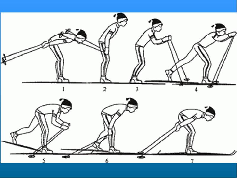 Одновременный бесшажный ход на лыжах картинки