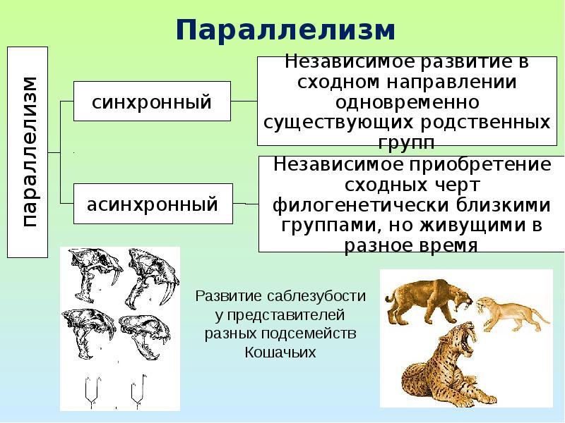 Параллелизм