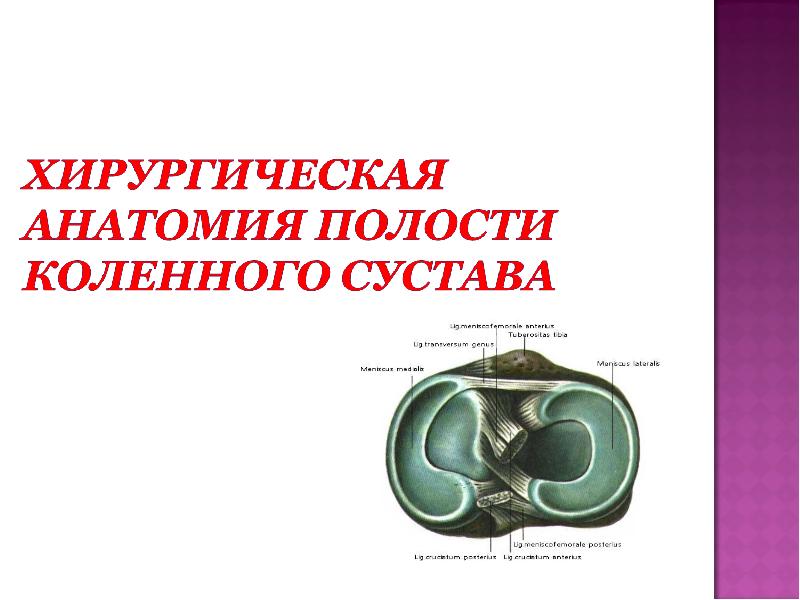 Хирургическая анатомия суставов. Хирургическая анатомия. Органоанатомические хирургия. Закон полостей анатомия.