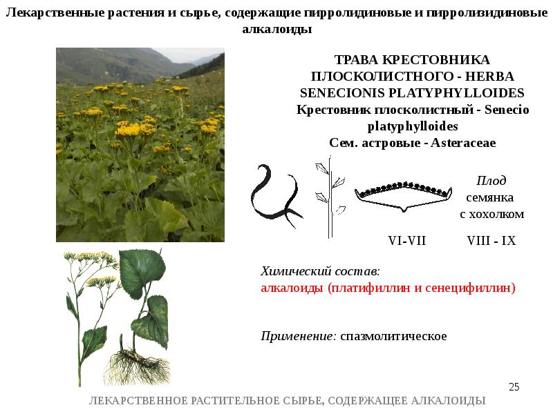Лрс содержащие алкалоиды презентация