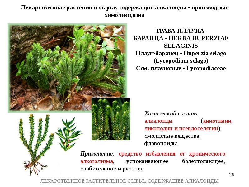 Лрс содержащие алкалоиды презентация