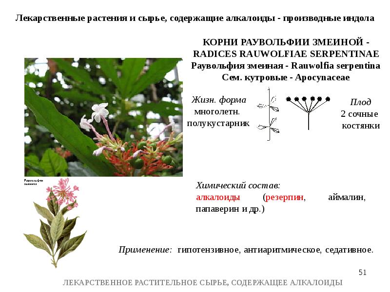 Лрс содержащие алкалоиды презентация