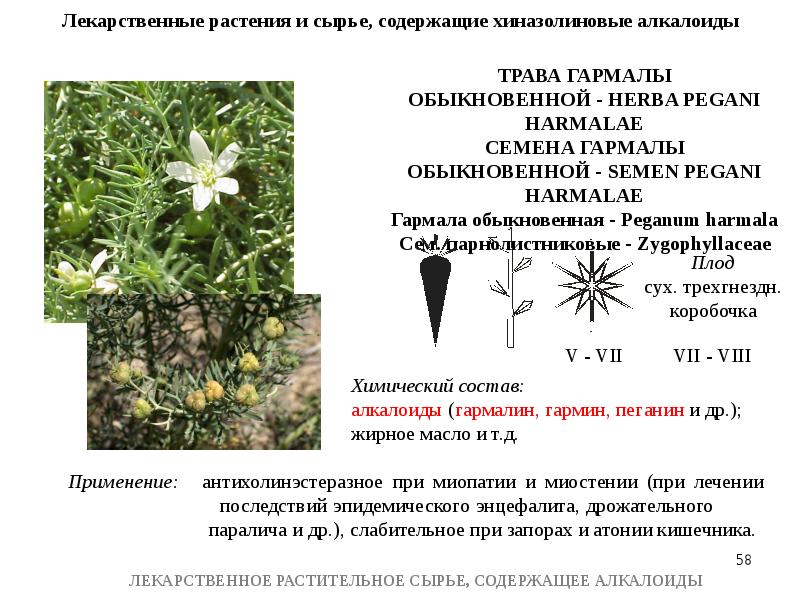 Лрс содержащие алкалоиды презентация