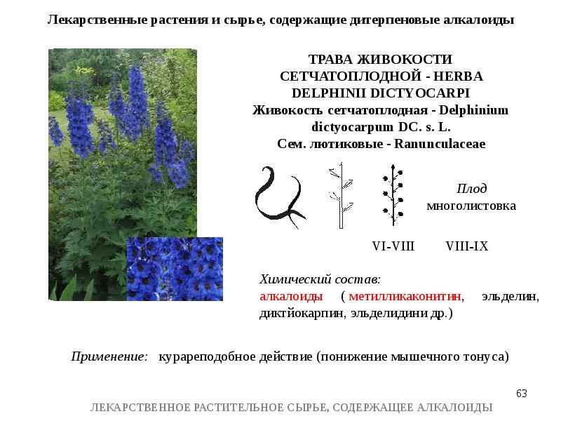 Лрс содержащие алкалоиды презентация