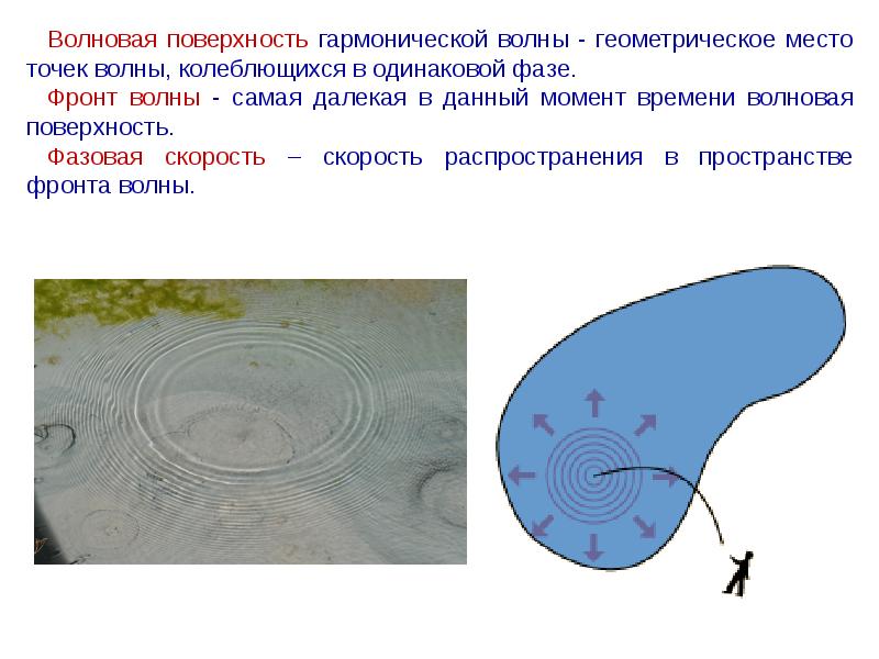 Фронт волны. Волновая поверхность. Волновой фронт и волновая поверхность. Волновая поверхность примеры. Волновая поверхность физика.