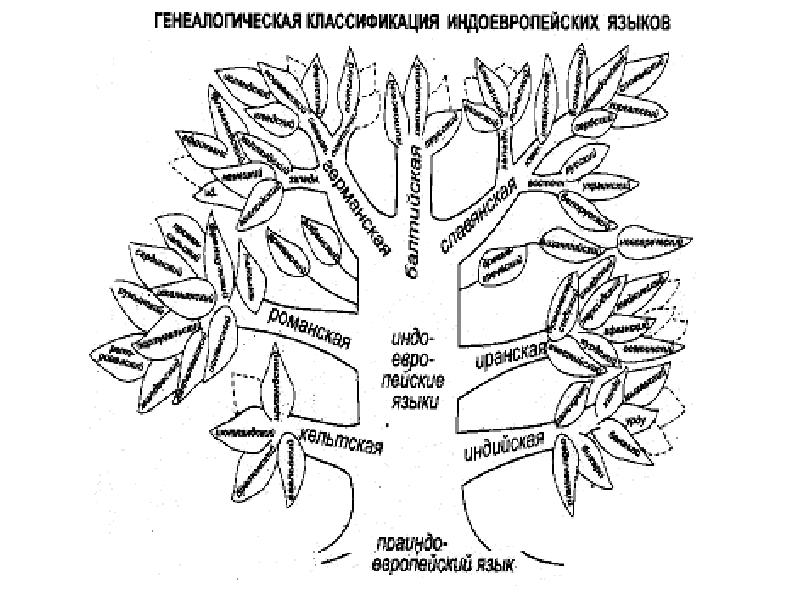 Славянские языки картинки