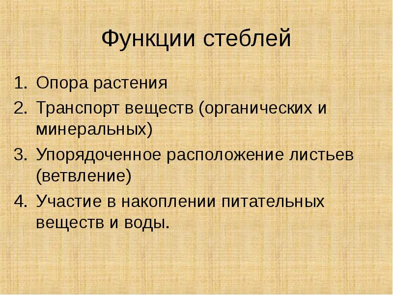 Основные функции стебля растения. Функции стебля биология 6 класс. Каковы основные функции стебля 6 класс. Перечислите основные функции стебля растения 6 класс. Каковы основные функции стебля 7 класс.