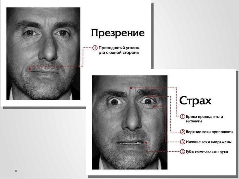 Физиогномика Лица Онлайн Тест По Фото