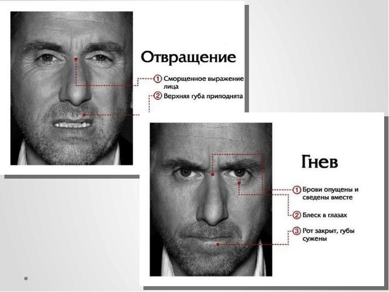 Презентация на тему физиогномика