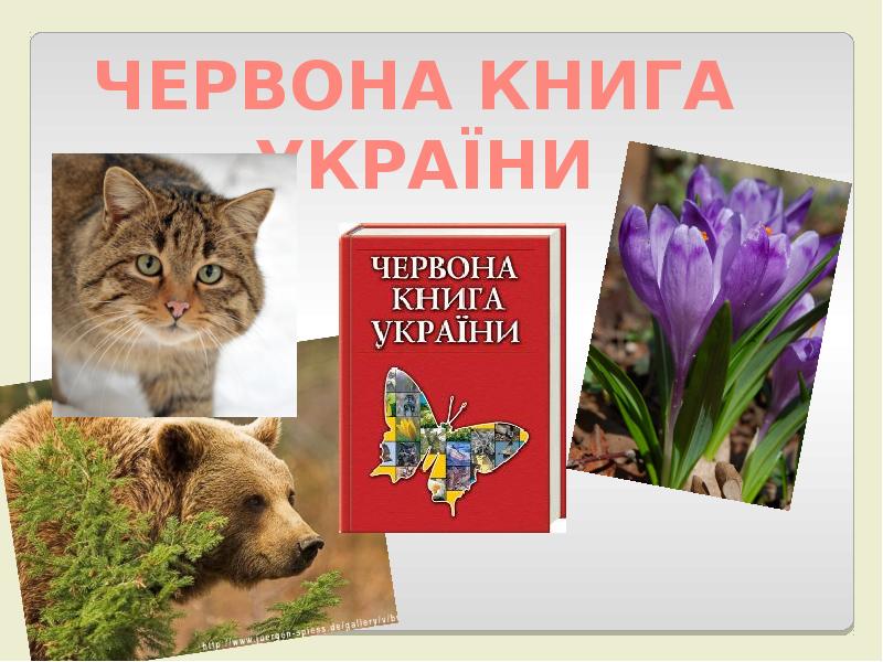 Реферат Червона Книга України
