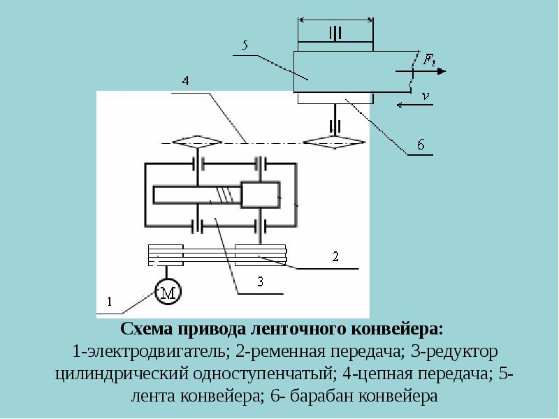 Виды механорецепторов презентация