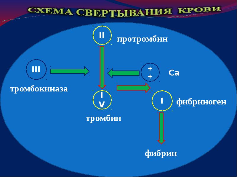 Нарушения свертывания крови у хирургических больных и методы их коррекции