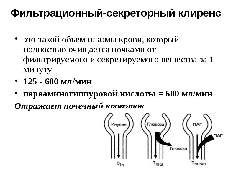 Биохимия мочи биохимия презентация