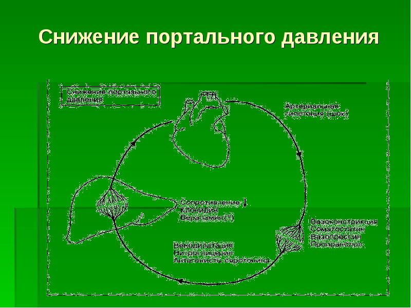 Портальная гипертензия хирургия презентация