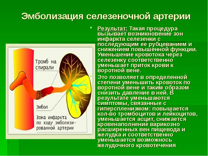 Портальная гипертензия хирургия презентация