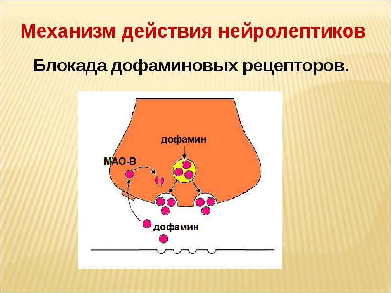 Механизм действия антипсихотиков. Механизм действия нейролептиков. Механизм действия антипсихотических средств. Механизм действия нейролептиков фармакология. Нейролептики дофаминовые рецепторы.