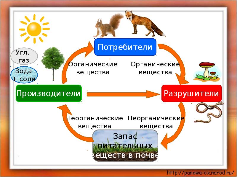 Окружающий мир 3 класс презентация великий круговорот жизни 3 класс