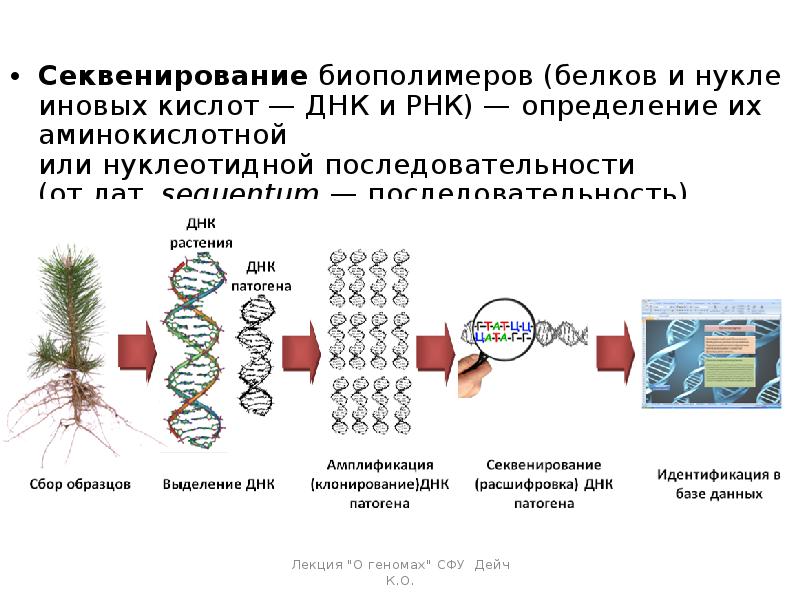 Секвенирование нуклеотидов. Секвенирование метод Сэнгера. Методы секвенирования генома. Методы секвенирования белков. Секвенирование биополимеров метод.