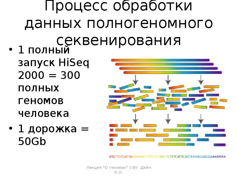 Секвенирование анализ. Секвенирование ДНК человека. Полное секвенирование генома. Метод секвенирования в биологии. Секвенирование Гена.