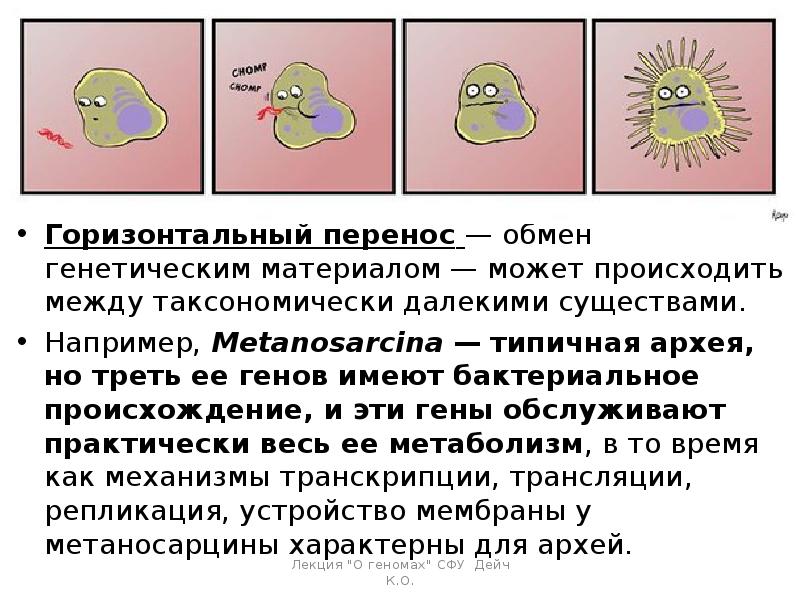 Горизонтальный перенос генов презентация