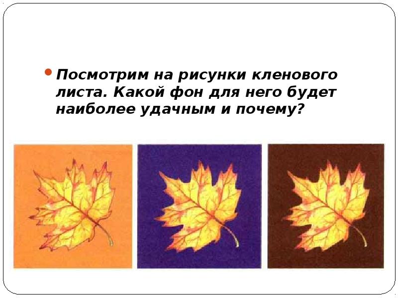 Посмотрим на рисунки кленового листа. Какой фон для него будет наиболее Посмотрим на рисунки кленового листа. Какой фон для него будет наиболее