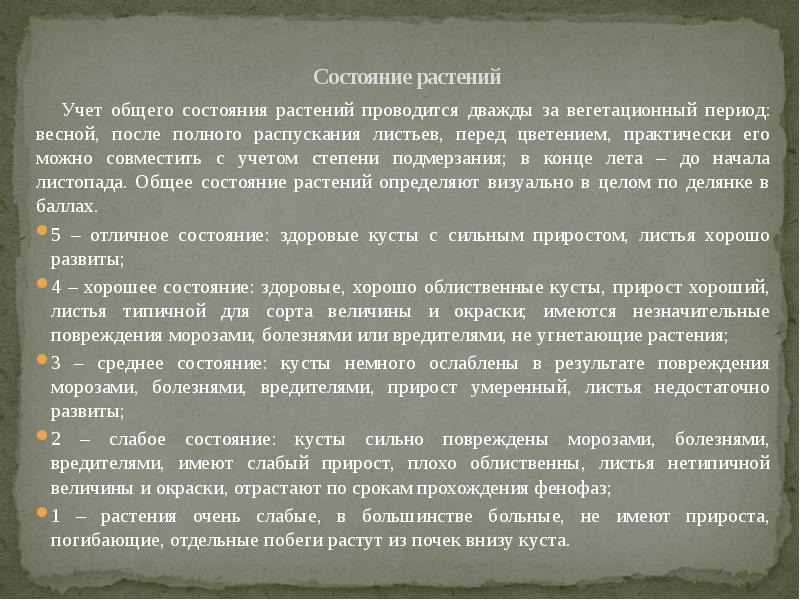 Мороз заболела. Общее состояние растений. Диагностика состояния растений. Оценка состояния растений. Статусы растений.