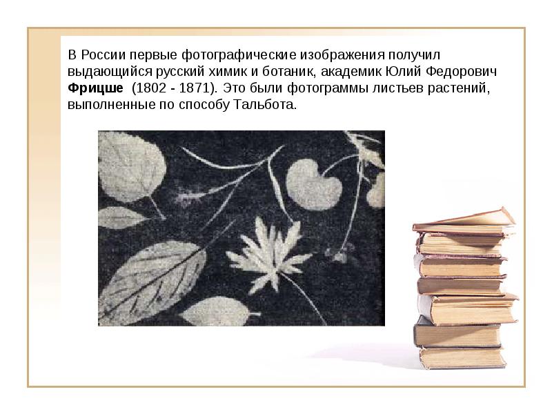 Способы получения изображения. Юлий Фёдорович Фрицше. Снимок Фрицше. Фрицше листья. Фотограммы листьев растений выполненные по способу Тальбота.