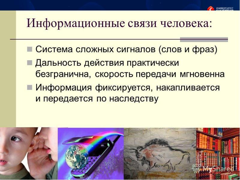 Демография экология презентация