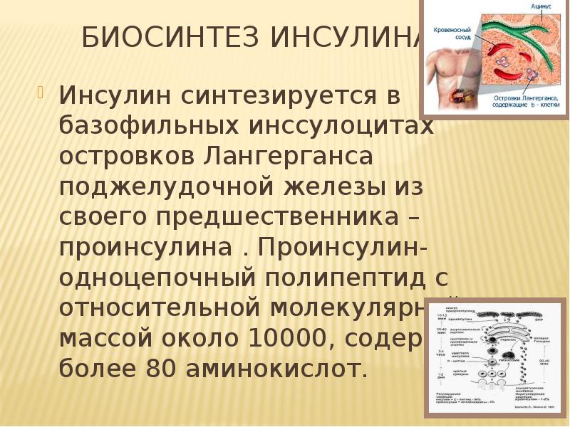 Современная технология получения рекомбинантного инсулина презентация