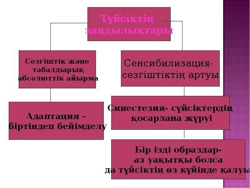 Түйсік және қабылдау презентация