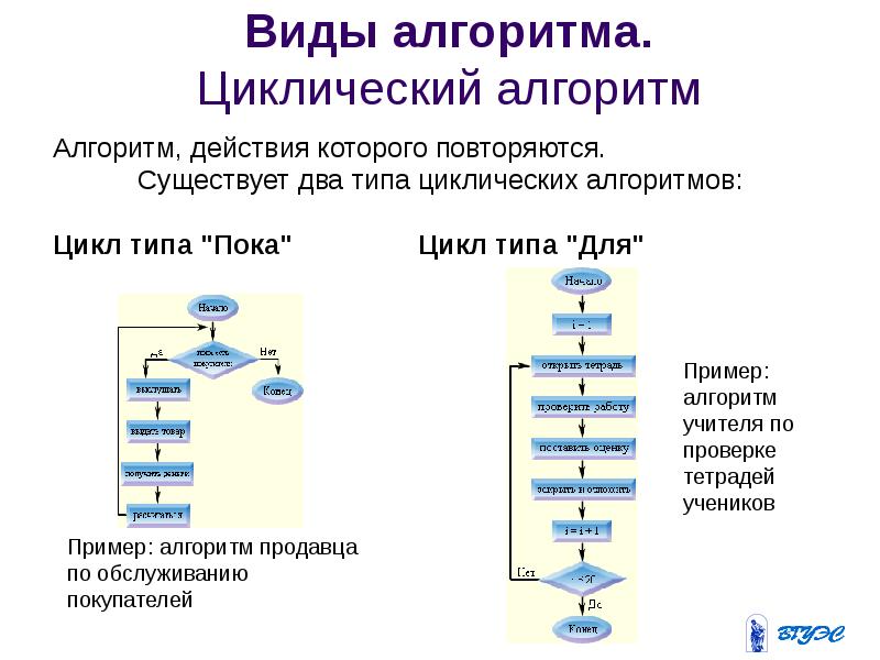 Алгоритмы и элементы программирования презентация