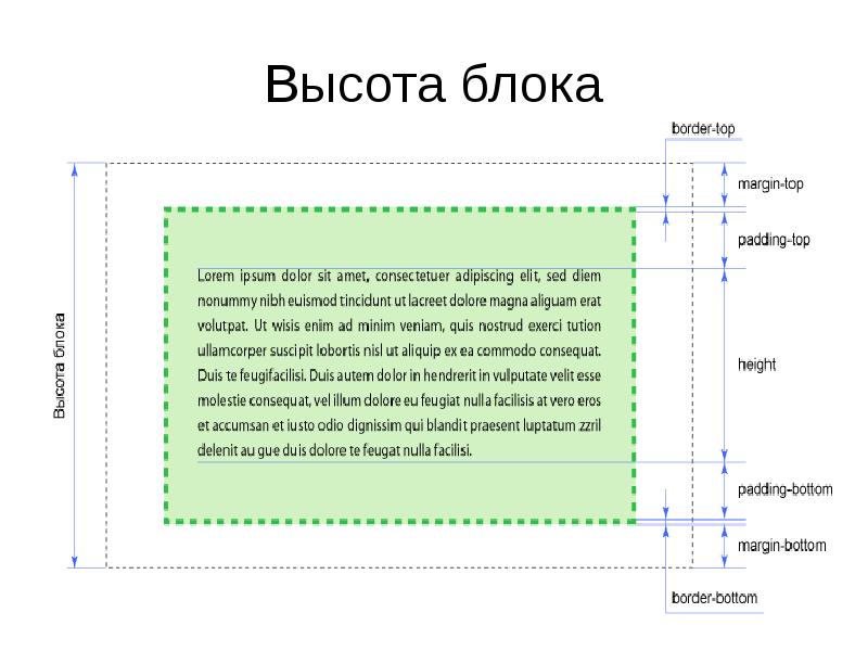 Ширина картинки в html в