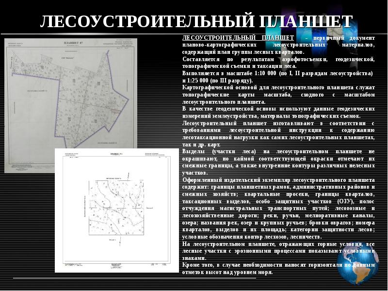 Карта выделов лесных участков