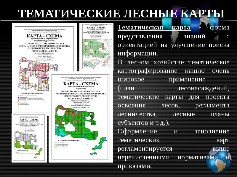 Тематическая лесная карта в проекте освоения лесов