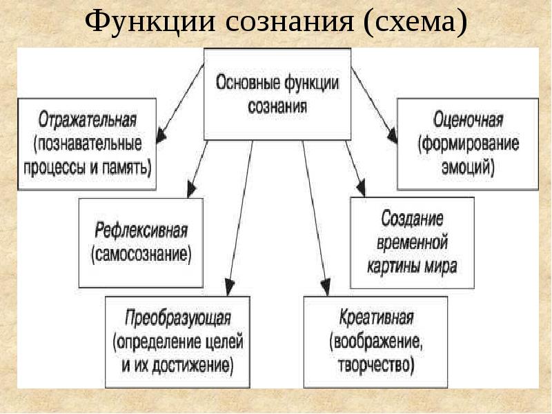 Схема сознания человека в психологии