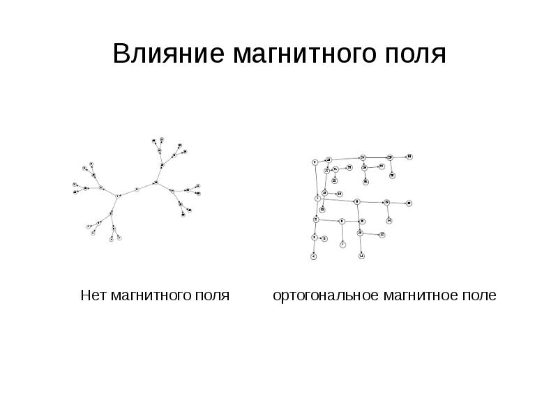 Влияние магнитного поля на спектры звезд презентация