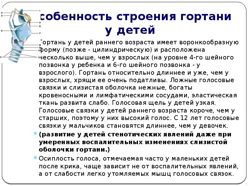 Презентация анатомо физиологические особенности органов дыхания у детей