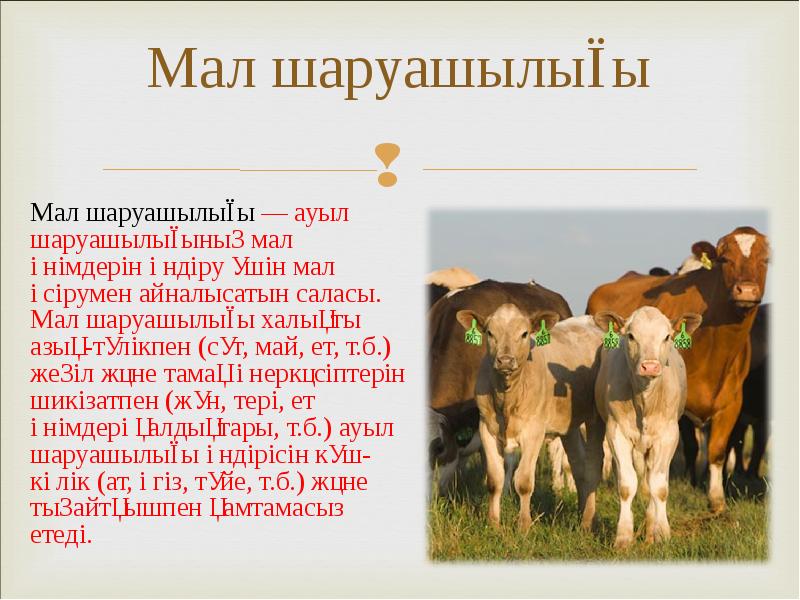 Мал шаруашылығы
Мал шаруашылығы — ауыл шаруашылығының мал өнімдерін өндіру үшін Мал шаруашылығы
Мал шаруашылығы — ауыл шаруашылығының мал өнімдерін өндіру үшін