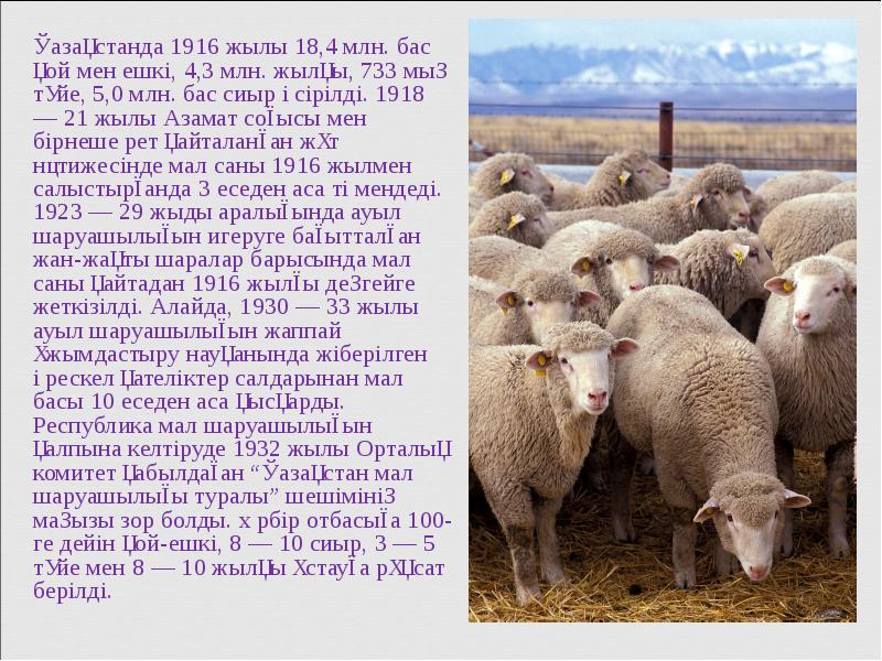 Қазақстанда 1916 жылы 18,4 млн. бас қой мен ешкі, 4,3 млн. Қазақстанда 1916 жылы 18,4 млн. бас қой мен ешкі, 4,3 млн.