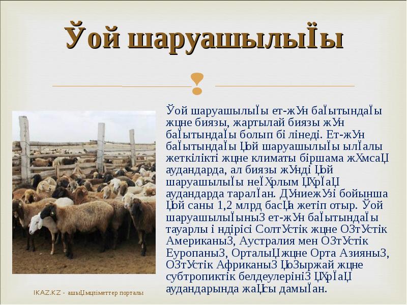 Қой шаруашылығы
Қой шаруашылығы ет-жүн бағытындағы және биязы, жартылай биязы жүн Қой шаруашылығы
Қой шаруашылығы ет-жүн бағытындағы және биязы, жартылай биязы жүн