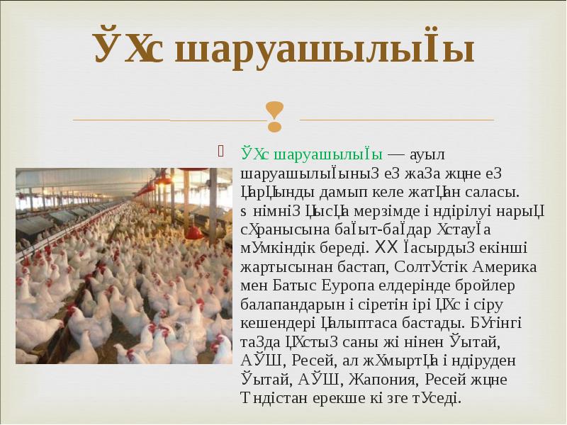 Құс шаруашылығы
Құс шаруашылығы — ауыл шаруашылығының ең жаңа және ең Құс шаруашылығы
Құс шаруашылығы — ауыл шаруашылығының ең жаңа және ең