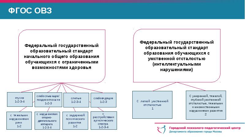 Структура аооп обучающихся с овз в виде схемы таблицы