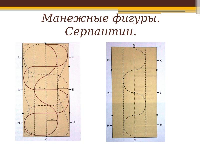 Командный приз юноши схема