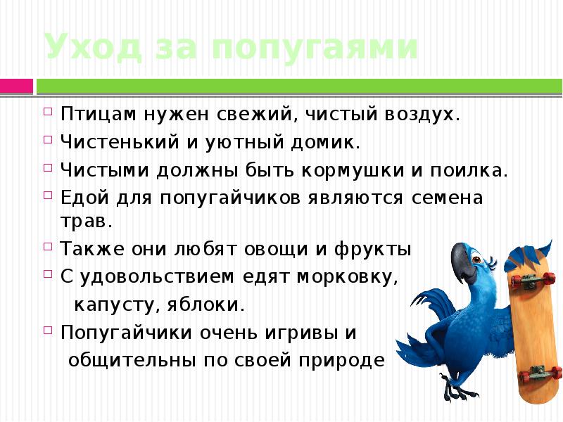 За Неделю Магазин Продал 14 Попугаев