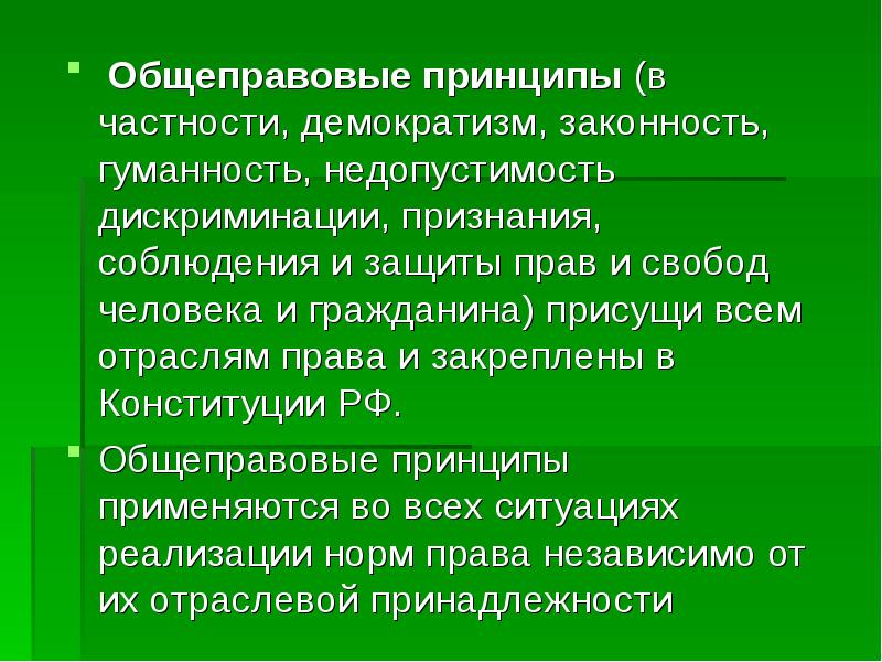 Правовые принципы презентация