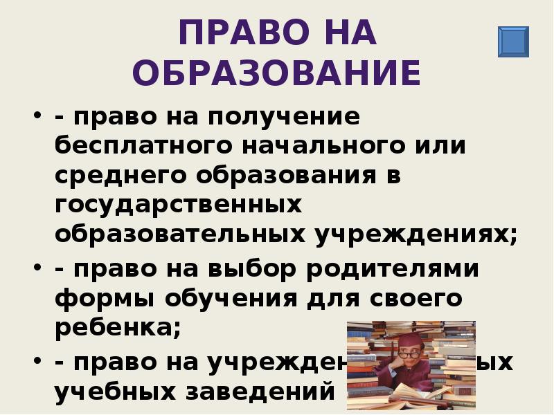 Социальные права презентация