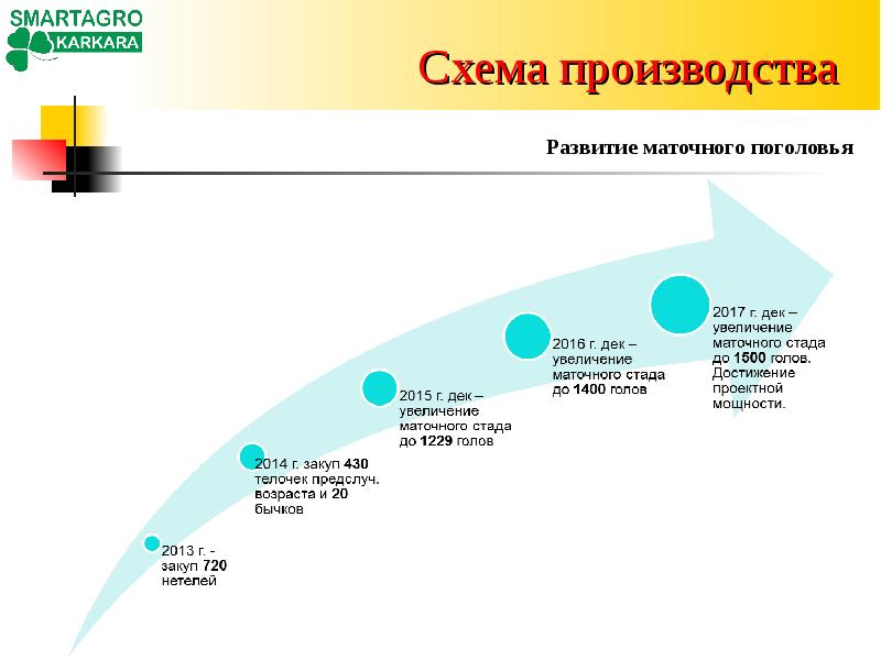 Развитие производства по другому. Схема развития производства. Эволюция производства. Схема формирования маточных Стад. Формирование маточного стада.