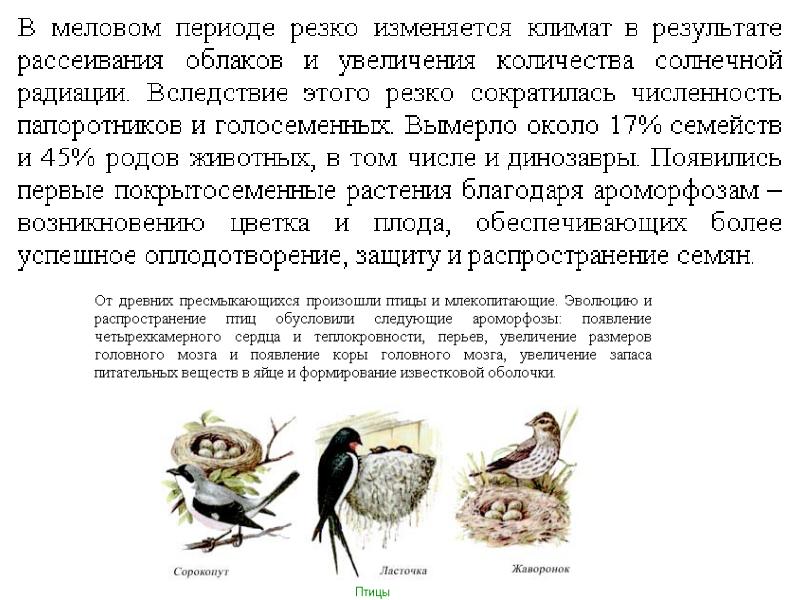 Период резко. Запас питательных веществ в яйце птицы. Запас питательных веществ в яйце. Впервые древнейшая кора появляется у представителей.